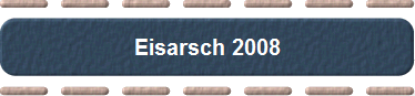 Eisarsch 2008