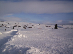 20080219 Auf dem Ringebu-Fjell