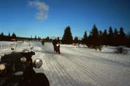 100 km/h mit 2cm Spikes !