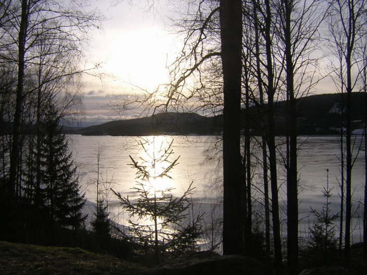 Der See
